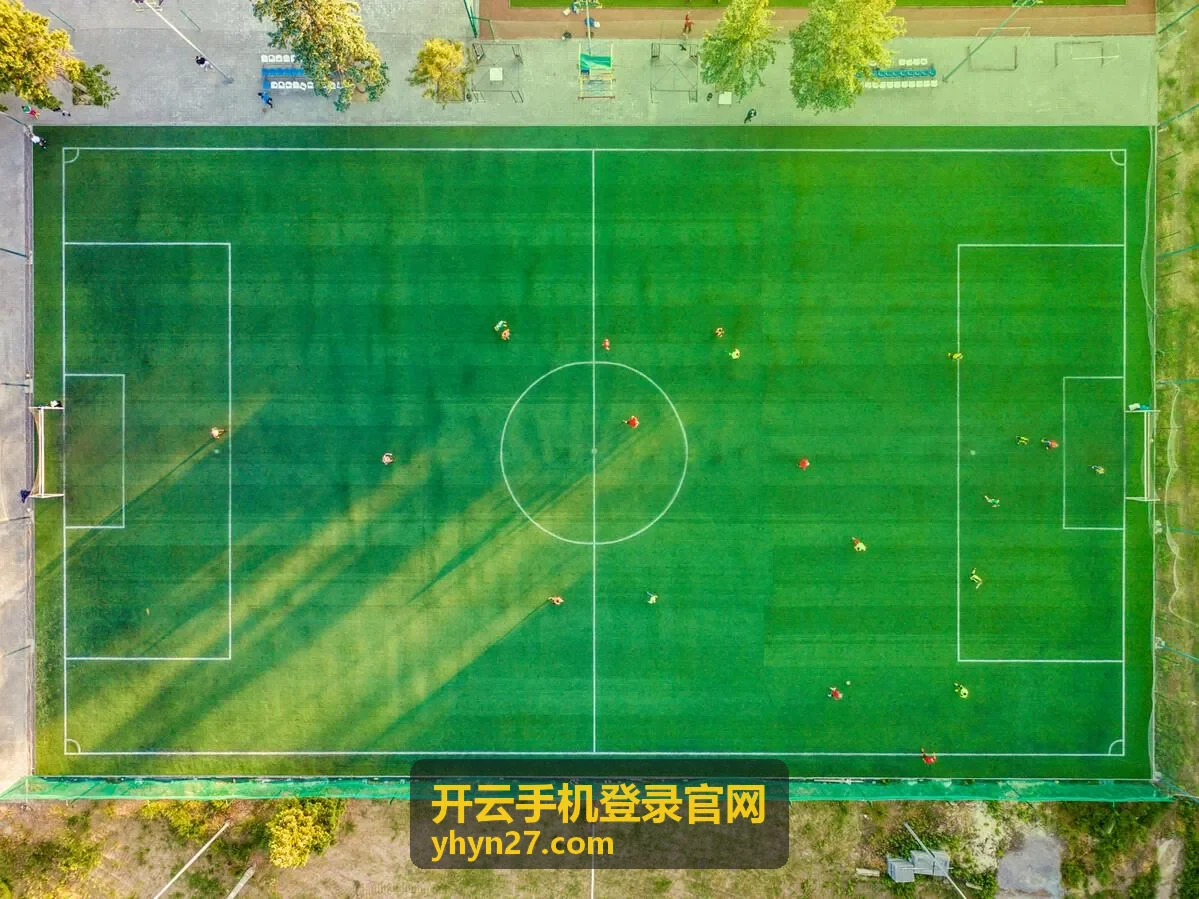 开云手机登录官网手机端使用指南专题封面
